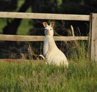 Panorama Garden Estate - Holiday Jervis Bay