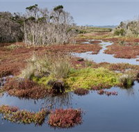 French Island National Park - Holiday Jervis Bay
