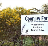 Coorow Farm Wildflower Trail - Holiday Jervis Bay