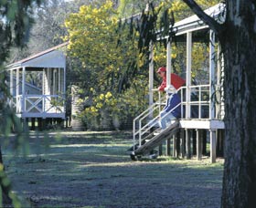 Dryandra Woodland - Holiday Jervis Bay 0