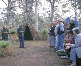 Dryandra Woodland - Holiday Jervis Bay 2