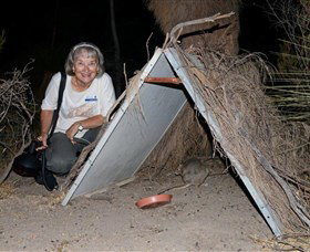 Barna Mia Native Animal Sanctuary - Holiday Jervis Bay 3