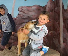 Maru Koala And Animal Park - Holiday Jervis Bay 3