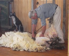 Maru Koala And Animal Park - Holiday Jervis Bay 8