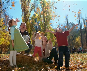 Cotter Avenue Recreation Area - Holiday Jervis Bay 0