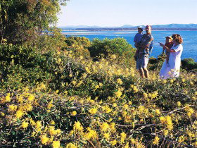 Joseph Banks Conservation Park - Holiday Jervis Bay 0