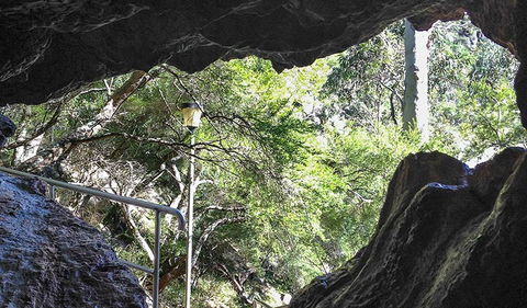 Carlotta Arch Walking Track - Holiday Jervis Bay 1