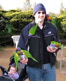 Canberra Walk In Aviary - Holiday Jervis Bay 0