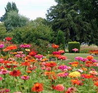 Alma Park - Holiday Jervis Bay