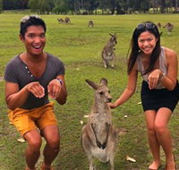 Runaway Tours - Holiday Jervis Bay