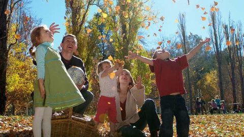 Cotter Avenue Recreation Area - Holiday Jervis Bay 3