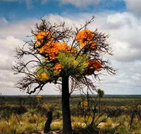 The Delmar Gallery - Holiday Jervis Bay