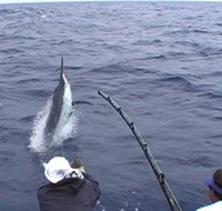 Amokura Charters - Holiday Jervis Bay