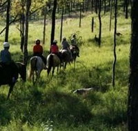 Hunter Valley Horse Riding and Adventures - Holiday Jervis Bay