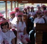 Newcastles Famous Tram - Holiday Jervis Bay