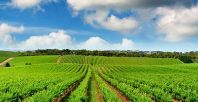 Sydney Weekend Adventures - Holiday Jervis Bay 2