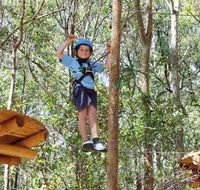 TreeTops Newcastle - Holiday Jervis Bay