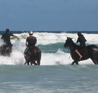 Pegasus Park Equestrian Centre - Holiday Jervis Bay