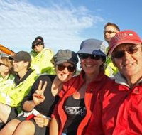 Byron Bay Whale Watching - Holiday Jervis Bay