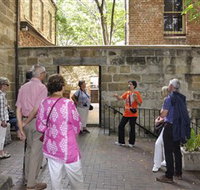 Free Tours Sydney - Holiday Jervis Bay