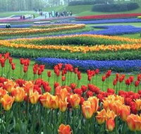 Botanica World Discoveries - Holiday Jervis Bay