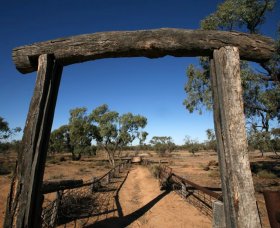 Silver City Tours - Holiday Jervis Bay 2