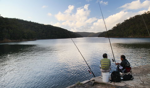 D'Albora Marinas At Akuna Bay - Holiday Jervis Bay 3