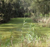 Second Ponds Creek walk - Holiday Jervis Bay