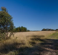 Scheyville horse riding trails - Holiday Jervis Bay
