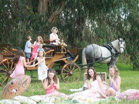 Classic Carriage Drives - Holiday Jervis Bay 1