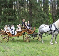 Classic Carriage Drives - Holiday Jervis Bay