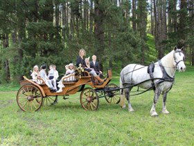 Classic Carriage Drives - Holiday Jervis Bay 0