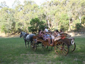 Classic Carriage Drives - Holiday Jervis Bay 3