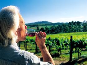 Ashton Hills Vineyard - Holiday Jervis Bay 0