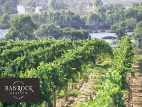 Banrock Station Wine And Wetland Centre - Holiday Jervis Bay 0