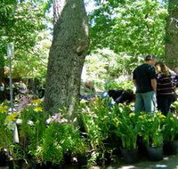The Stirling Market - Holiday Jervis Bay