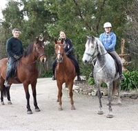 Academy of Dressage - Holiday Jervis Bay