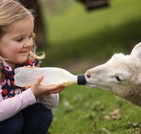 Hahndorf Farm Barn - Holiday Jervis Bay