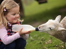 Hahndorf Farm Barn - Holiday Jervis Bay 0