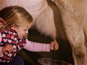 Hahndorf Farm Barn - Holiday Jervis Bay 1