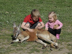 Hahndorf Farm Barn - Holiday Jervis Bay 3