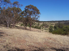 Onkaparinga River National Park - Holiday Jervis Bay 0