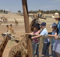 Monarto Open Range Zoo - Holiday Jervis Bay