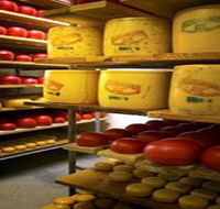 Alexandrina Cheese Company - Holiday Jervis Bay