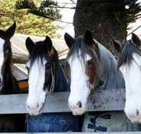 Victor Harbor Horse Drawn Tramway - Holiday Jervis Bay