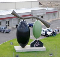 The Big Olive - Holiday Jervis Bay