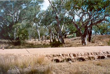 Charleville - Ward River Fishing Spot - Holiday Jervis Bay 1