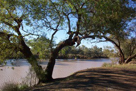 Charleville - Bakers Bend Warrego River Fishing Spot - Holiday Jervis Bay 1