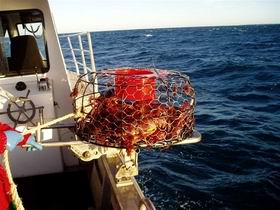 Lacepede Seafood - Holiday Jervis Bay 1