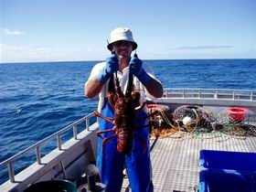 Lacepede Seafood - Holiday Jervis Bay 2